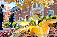 WashU躋身美國專利授權(quán)前百強(qiáng)！