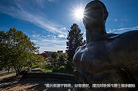 麥吉爾大學生物工程專業課程設置