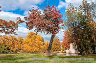 謝菲爾德大學(xué)研究生學(xué)費(fèi)多少錢？