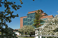 約克大學本科一年學費多少錢？