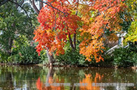 重磅！諾丁漢大學獲得雇主強烈認可