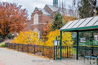 加州大學伯克利分校研究生學費多少錢？