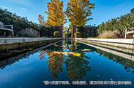 愛丁堡大學碩士招生喜好有哪些？