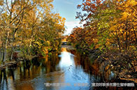 倫敦大學學院碩士申請list名單一覽