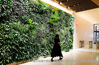 倫敦政治經(jīng)濟(jì)學(xué)院商學(xué)院學(xué)費(fèi)多少錢？