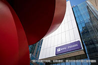 12月曼徹斯特大學最新消息！