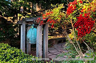 新加坡社科大學熱門研究生項目有哪些？