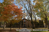 新加坡技術與設計大學一年費用多少錢？