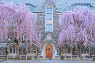 加拿大移民CRS打分規(guī)則或變化