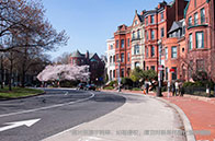 滑鐵盧大學最強的專業(yè)是哪些？