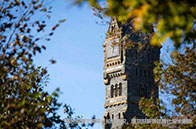 多倫多大學MI項目介紹