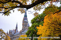 全方位對比|斯坦福和MIT工程哪個好