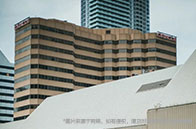 布朗大學社會數(shù)據(jù)分析碩士：STEM項目