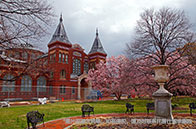 新！2025USnews世界大學(xué)排名榜單解析