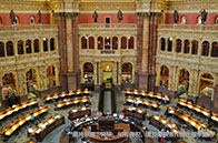 帝國理工學院公共衛生碩士課程設置