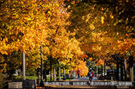 約翰霍普金斯大學(xué)應(yīng)用數(shù)學(xué)與統(tǒng)計(jì)碩士就讀費(fèi)用