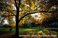 英國金融碩士留學一年費用多少錢？