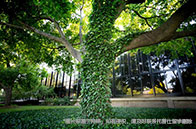 利茲大學生態經濟學碩士課程設置介紹