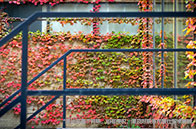 多倫多大學(xué)商學(xué)院本科就讀優(yōu)勢(shì)有哪些？