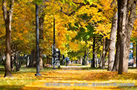 新加坡國立大學計算機工程理學碩士怎么樣？