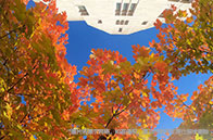 如何規劃申請帝國理工商學院？