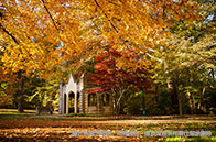 2024年出國留學生回國認證改革事項盤點