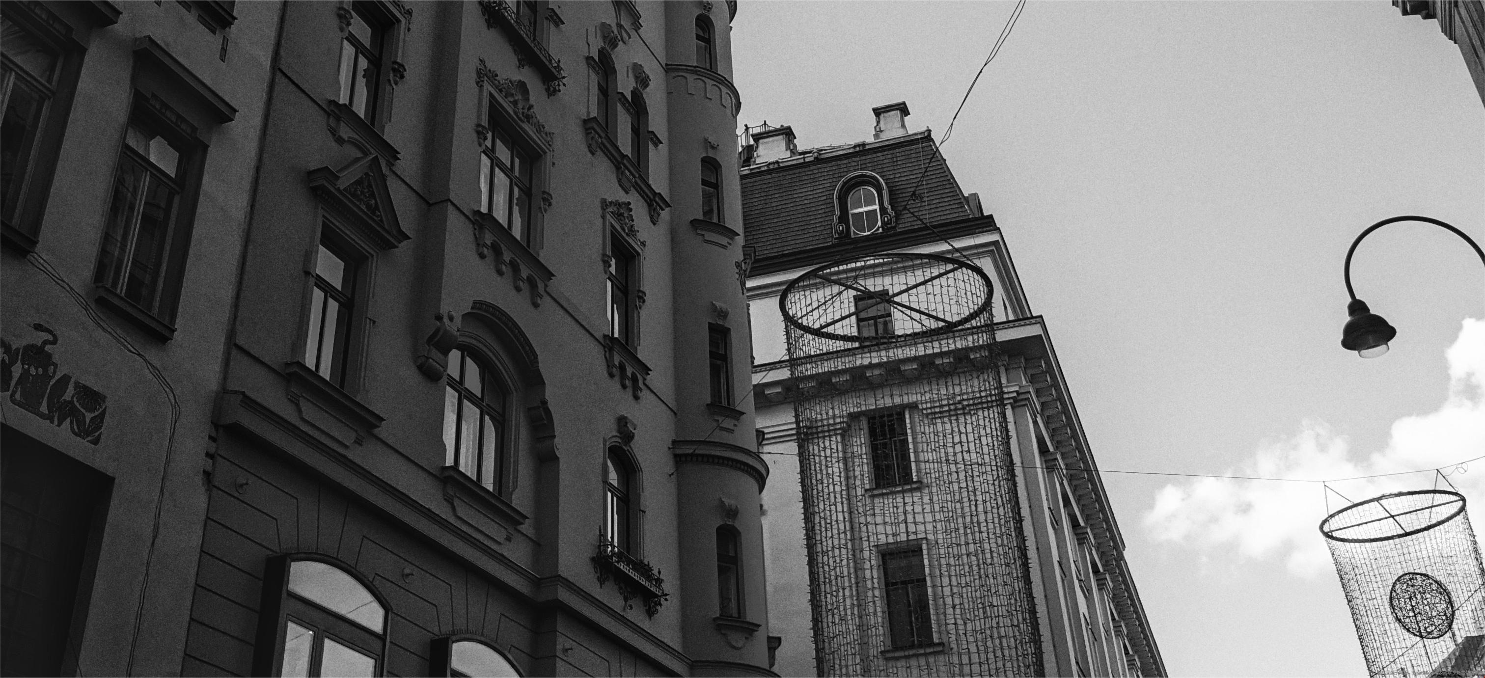 美國管理學項目分支