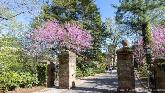 普林斯頓大學金融學碩士課程設(shè)置 普林斯頓大學金融學碩士課程設(shè)置