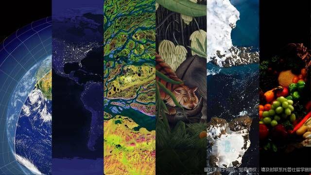 2024美國top30大學usnews排名