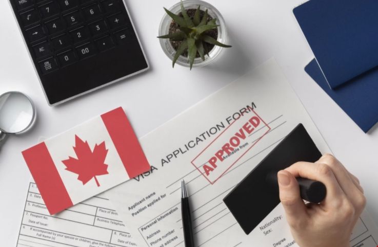 加拿大留學熱門專業