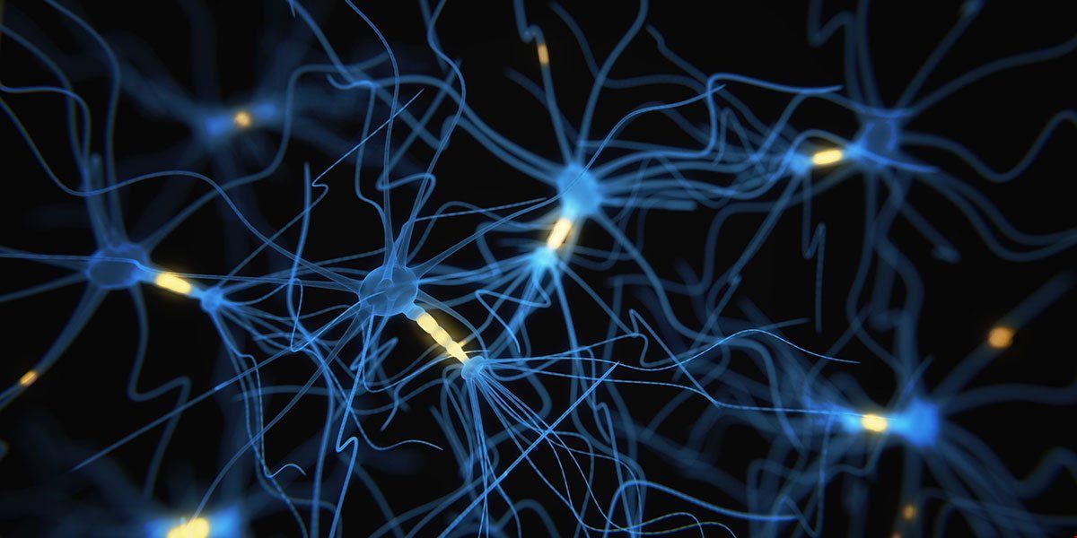 伯明翰大學腦像和認知科學研究生.jpg 伯明翰大學腦像和認知科學研究生.jpg