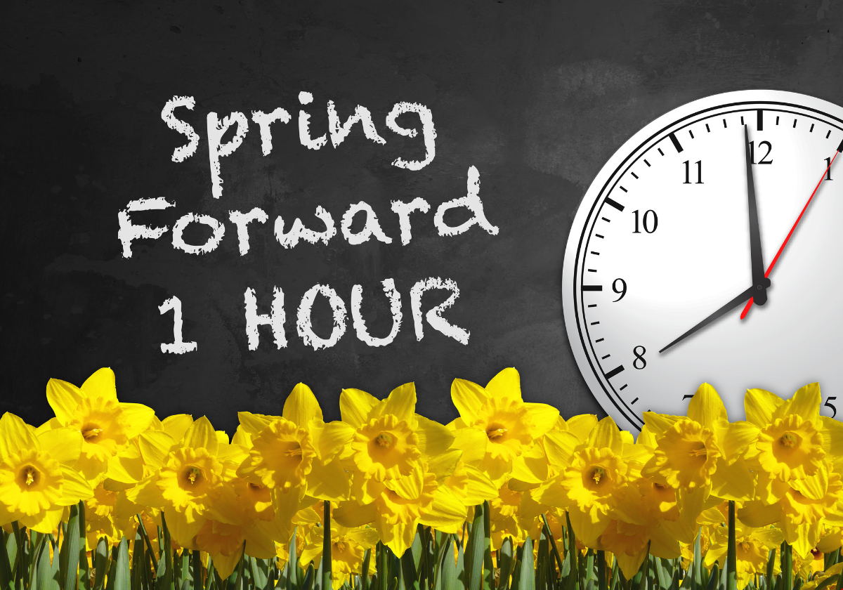 美國正式進入夏時令.png 美國正式進入夏時令.png