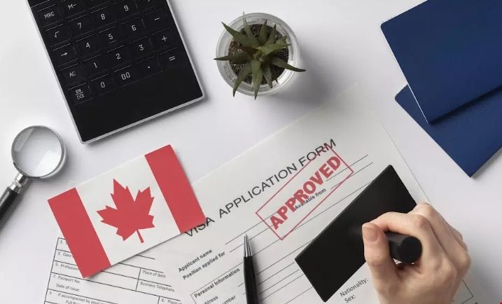 加拿大留學簽證背景調查.png